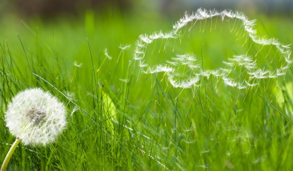 Pasos para ser un conductor responsable con el medio ambiente