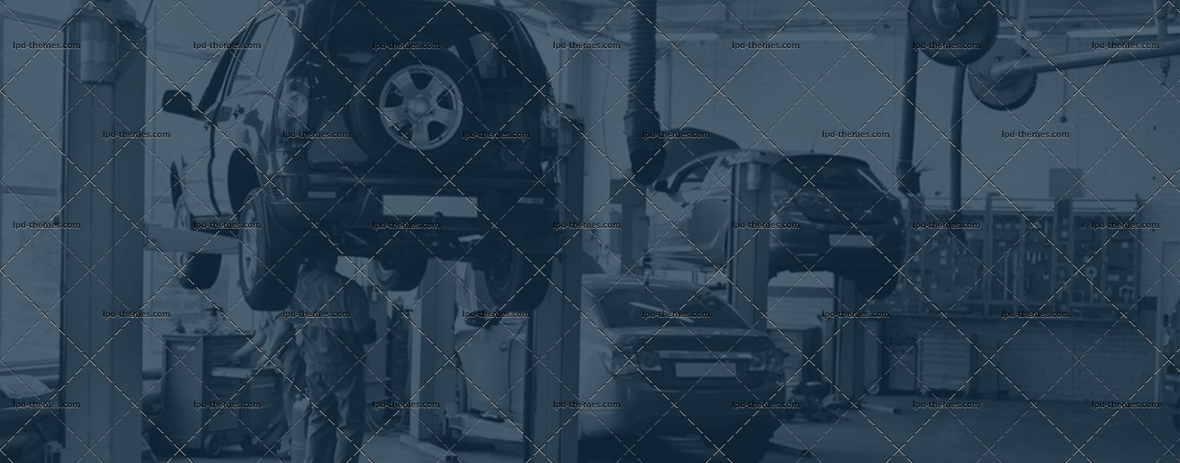 ls-11