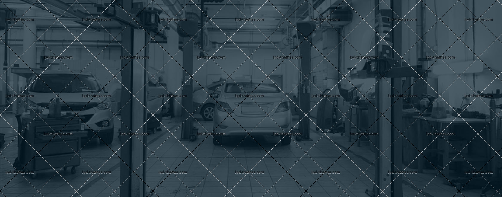 ls-13